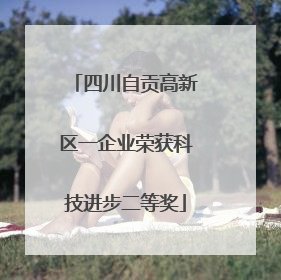四川自贡高新区一企业荣获科技进步二等奖