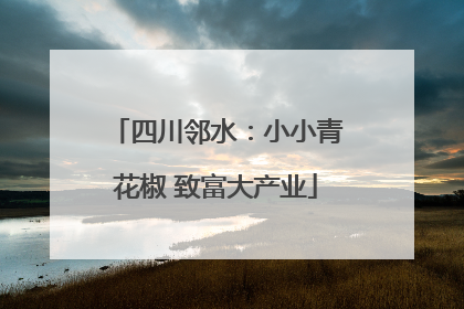四川邻水：小小青花椒 致富大产业