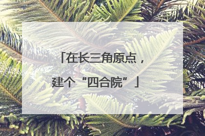 在长三角原点，建个“四合院”