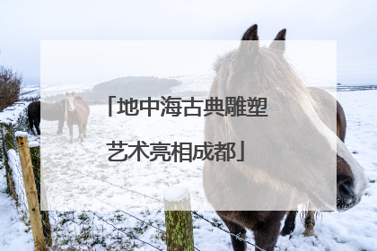 地中海古典雕塑艺术亮相成都