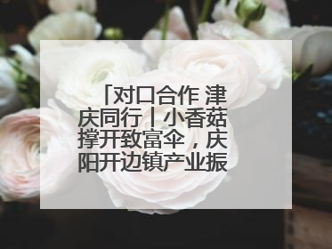 对口合作 津庆同行丨小香菇撑开致富伞，庆阳开边镇产业振兴有“蘑”力