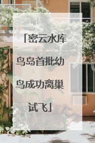 密云水库鸟岛首批幼鸟成功离巢试飞