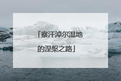察汗淖尔湿地的涅槃之路