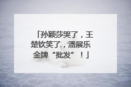 孙颖莎哭了，王楚钦笑了，潘展乐金牌“批发”！