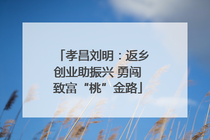 孝昌刘明：返乡创业助振兴 勇闯致富“桃”金路