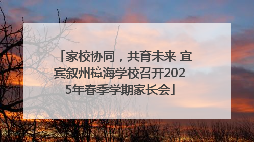 家校协同，共育未来 宜宾叙州樟海学校召开2025年春季学期家长会