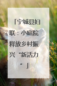宁城县妇联：小庭院释放乡村振兴“新活力”