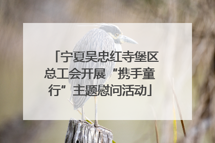 宁夏吴忠红寺堡区总工会开展“携手童行”主题慰问活动