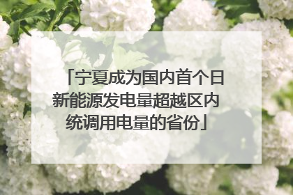 宁夏成为国内首个日新能源发电量超越区内统调用电量的省份