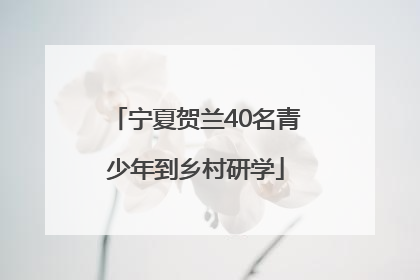 宁夏贺兰40名青少年到乡村研学