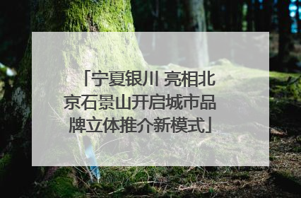 宁夏银川 亮相北京石景山开启城市品牌立体推介新模式