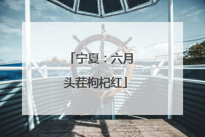 宁夏：六月头茬枸杞红