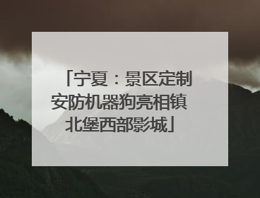 宁夏：景区定制安防机器狗亮相镇北堡西部影城