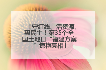 守红线、活资源、惠民生！第35个全国土地日“福建方案”惊艳亮相