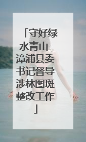 守好绿水青山 漳浦县委书记督导涉林图斑整改工作