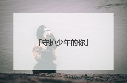 守护少年的你