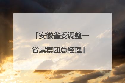 安徽省委调整一省属集团总经理