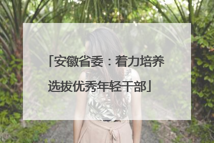安徽省委：着力培养选拔优秀年轻干部