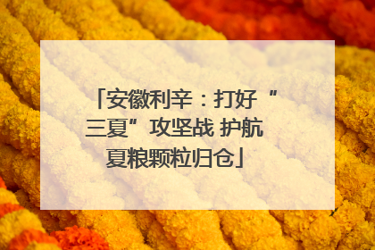 安徽利辛：打好“三夏”攻坚战 护航夏粮颗粒归仓