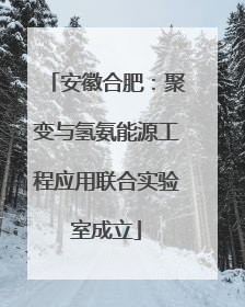 安徽合肥：聚变与氢氨能源工程应用联合实验室成立