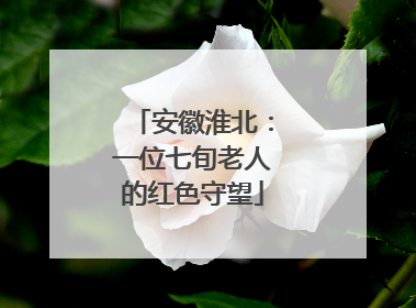 安徽淮北：一位七旬老人的红色守望