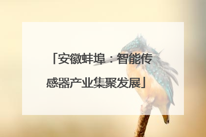 安徽蚌埠：智能传感器产业集聚发展