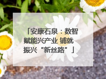 安康石泉：数智赋能兴产业 铺就振兴“新丝路”