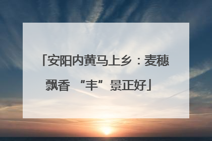 安阳内黄马上乡：麦穗飘香 “丰”景正好
