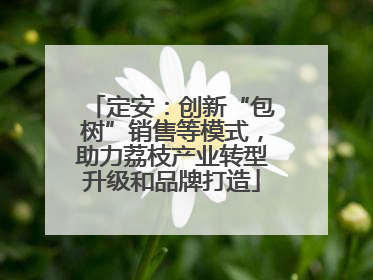 定安：创新“包树”销售等模式，助力荔枝产业转型升级和品牌打造