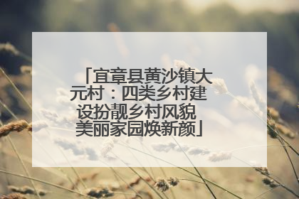 宜章县黄沙镇大元村：四类乡村建设扮靓乡村风貌 美丽家园焕新颜