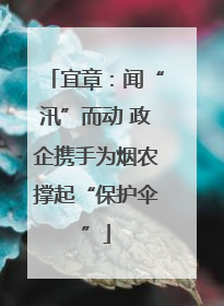 宜章：闻“汛”而动 政企携手为烟农撑起“保护伞”