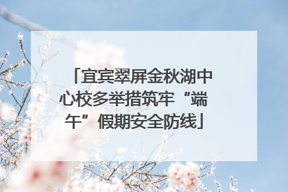 宜宾翠屏金秋湖中心校多举措筑牢“端午”假期安全防线