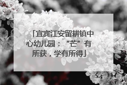 宜宾江安留耕镇中心幼儿园：“芒”有所获，学有所得