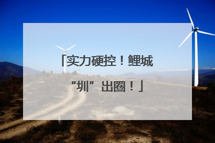 实力硬控！鲤城“圳”出圈！