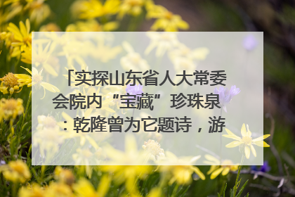 实探山东省人大常委会院内“宝藏”珍珠泉：乾隆曾为它题诗，游客无需预约免费游览