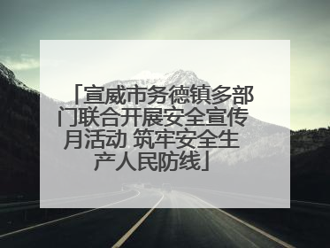 宣威市务德镇多部门联合开展安全宣传月活动 筑牢安全生产人民防线