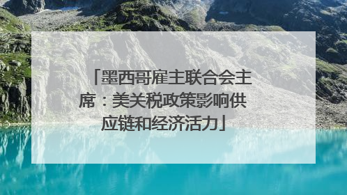 墨西哥雇主联合会主席：美关税政策影响供应链和经济活力