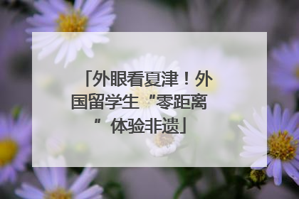 外眼看夏津！外国留学生“零距离”体验非遗