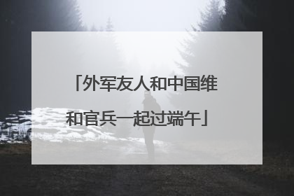 外军友人和中国维和官兵一起过端午