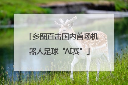 多图直击国内首场机器人足球“AI赛”