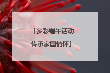 多彩端午活动 传承家国情怀
