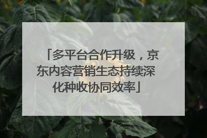 多平台合作升级，京东内容营销生态持续深化种收协同效率