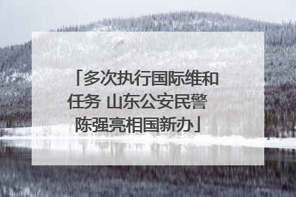 多次执行国际维和任务 山东公安民警陈强亮相国新办