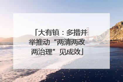 大有镇：多措并举推动“两清两改两治理”见成效