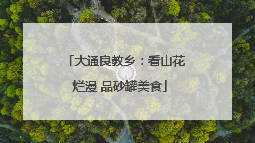 大通良教乡：看山花烂漫 品砂罐美食