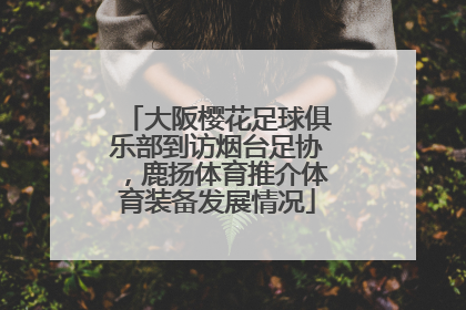 大阪樱花足球俱乐部到访烟台足协，鹿扬体育推介体育装备发展情况