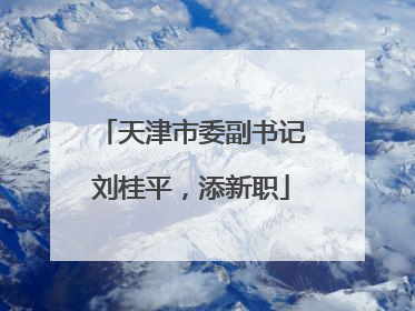 天津市委副书记刘桂平，添新职
