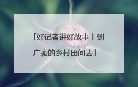 好记者讲好故事丨到广袤的乡村田间去