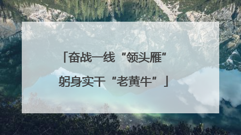 奋战一线“领头雁” 躬身实干“老黄牛”