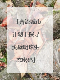 奔流城市计划丨探寻戈壁明珠生态密码